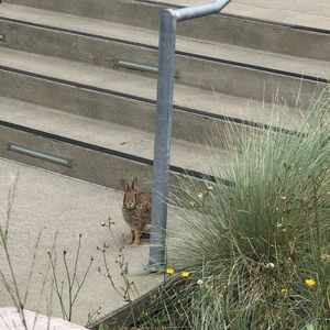 Meet your Posher, Eva